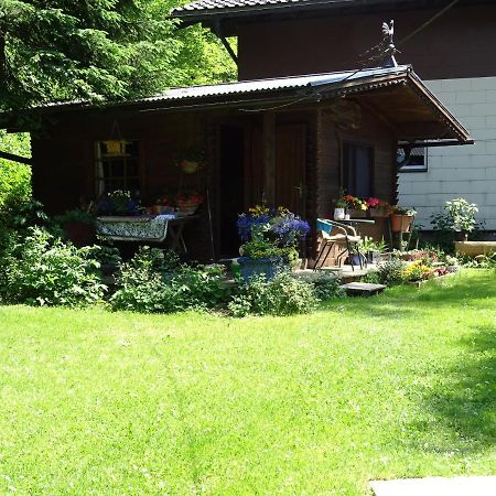 Pension Bayrhammer Faistenau Exterior foto